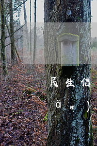 民生信用卡逾期4千會(huì)產(chǎn)生什么后果？如何處理？影響大嗎？